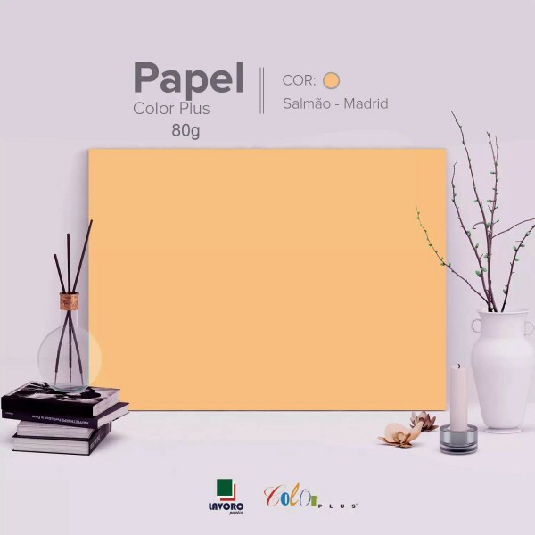 Papel Color Plus 80g 30,5x30,5 - Salm�o (Madrid) - 30 Folhas