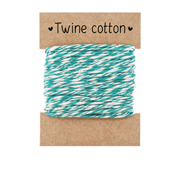 Twine Cotton Verde �gua Bicolor com 6 fios - 10 metros