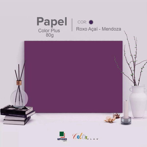 Papel Color Plus 80g 30x60 - Roxo A�ai (Mendoza) - 21 Folhas