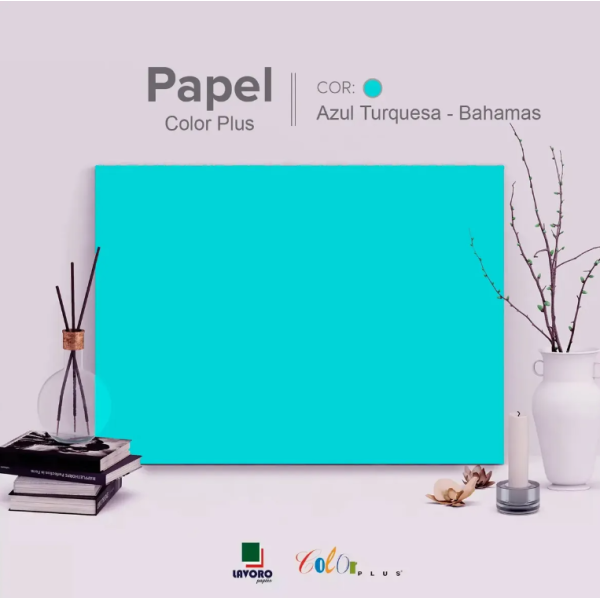 Papel Color Plus FOLHA GR�FICA 66x96 120g Kit c/10 Folhas