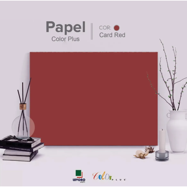 Papel Color Plus FOLHA GR�FICA 66x96 120g Kit c/10 Folhas