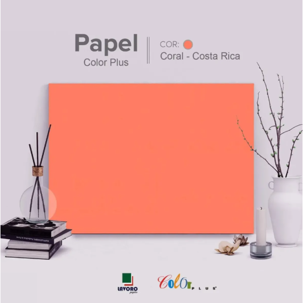 Papel Color Plus FOLHA GR�FICA 66x96 120g Kit c/10 Folhas