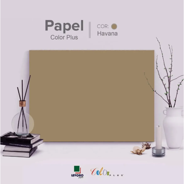 Papel Color Plus FOLHA GR�FICA 66x96 120g Kit c/10 Folhas