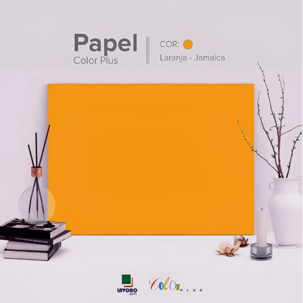 Papel Color Plus FOLHA GR�FICA 66x96 120g Kit c/10 Folhas