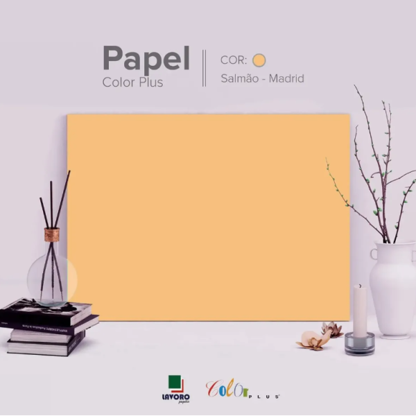 Papel Color Plus FOLHA GR�FICA 66x96 120g Kit c/10 Folhas