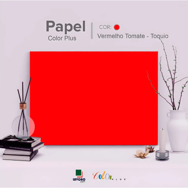 Papel Color Plus FOLHA GR�FICA 66x96 120g Kit c/10 Folhas