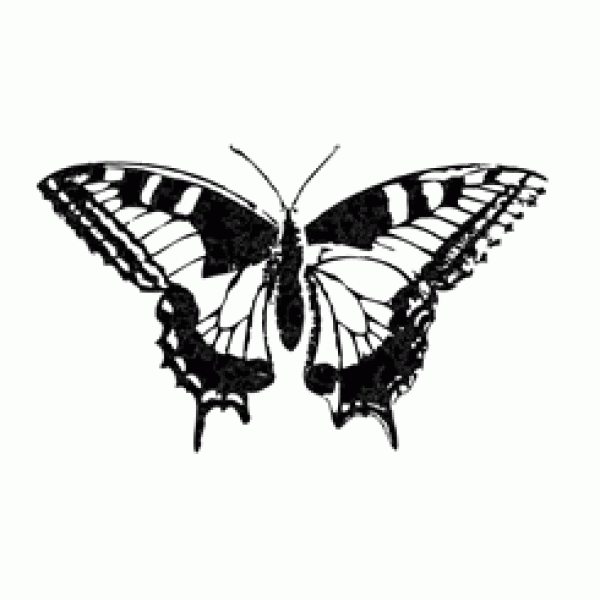 Carimbo Borboleta 02