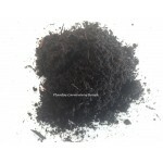 Pó de Xaxim - Pacote 1 Kg