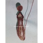 Planta Carnívora - Nepenthes ( Viking x Hookeriana) x Graciliflora / Macho