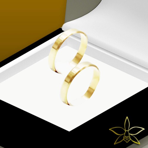 Par de Aliana Gold Plane 35 10k