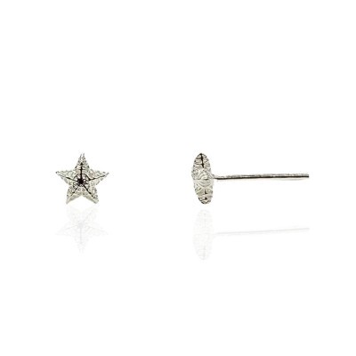 Brincos Prata Estrela