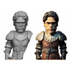 Action Figure Game Of Thrones Stl Got Robb Stark