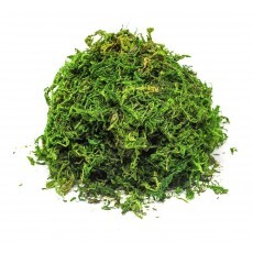 Musgo Artificial P/arranjos E Jardins 2 Litro