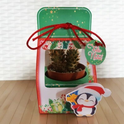 Arquivo De Corte Natal Caixa Suculenta Exploso Caneca