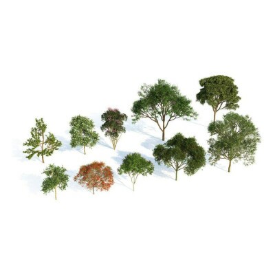 Biblioteca Vegetao Para Sketchup / V-ray 6 (lanamento)
