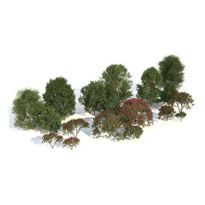 Biblioteca Vegetao Para Sketchup / V-ray 6 (lanamento)