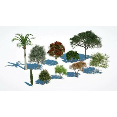 Biblioteca Vegetao Para Sketchup / V-ray 6 (lanamento)