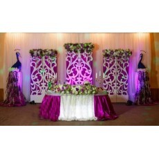 Paquete De Vectores Corte Decorativos Biombos Bodas Eventos