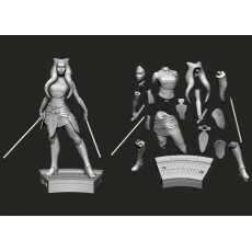 Star Wars Ahsoka Tano + Slave + Nsfw Stl Obj Impresi�n 3d