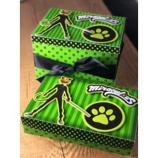 Arquivo Pscoa Mini Confeiteiro Cat Noir 1 Studio Pdf