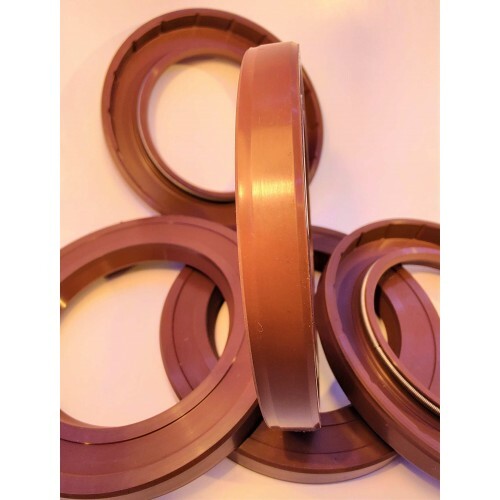 RETENTOR 13125323VSC VITON