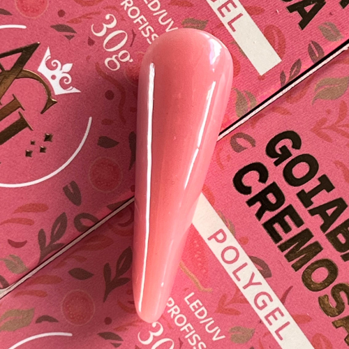 AGL DUPLA MINEIRA Polygel Goiabada Cremosa 30g