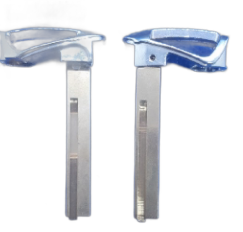 LAMINA SANTA F� MODELO NOVO