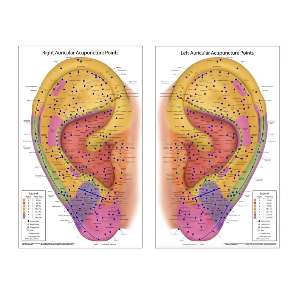 imagem categoria PONTOS AURICULARES