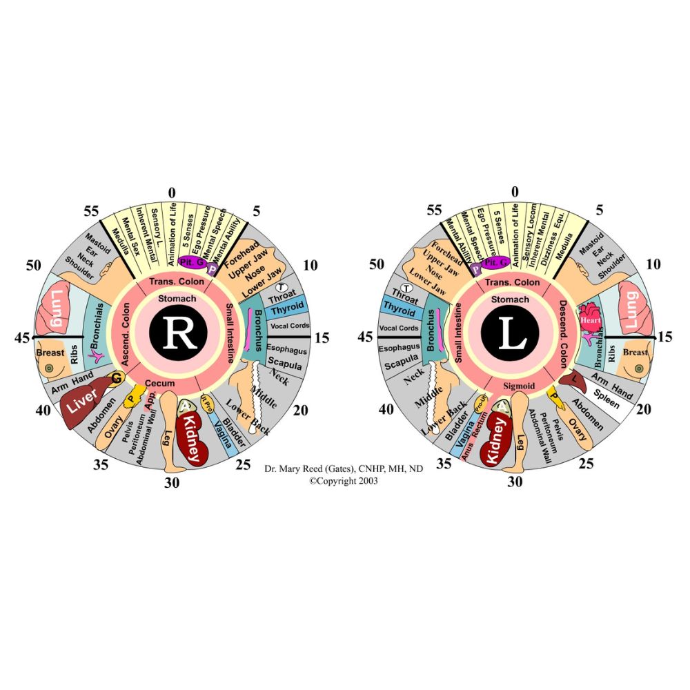 imagem categoria IRIDOLOGIA