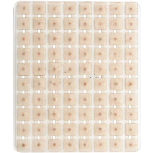 Ponto Semente Clara Micropore (80 pontos) - Complementar Prime