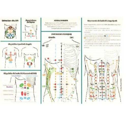 Mapa - Acupuntura Abdominal - Dr. Wu Tou Kwang