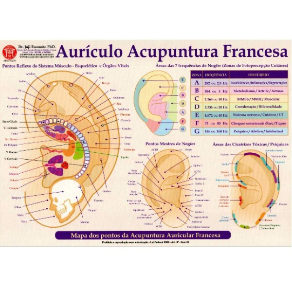 Mapa - Aur�culo Acupuntura Francesa - Prof�. Enomoto