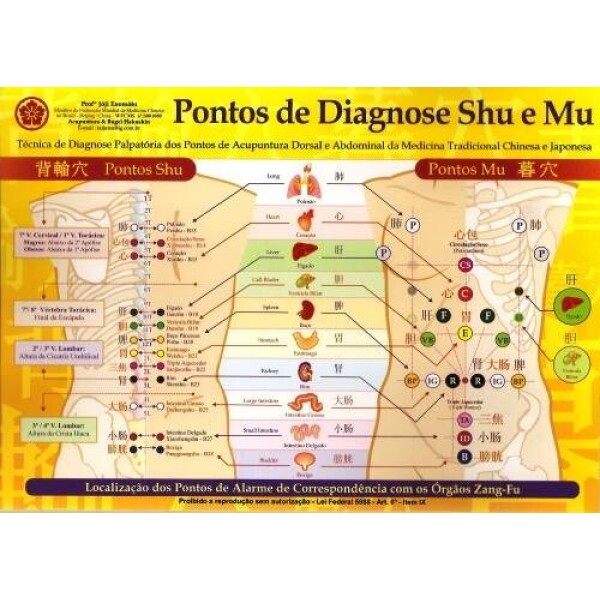 Mapa - Pontos de Diagnose Shu e Mu - Prof. Franco Joji Enomoto