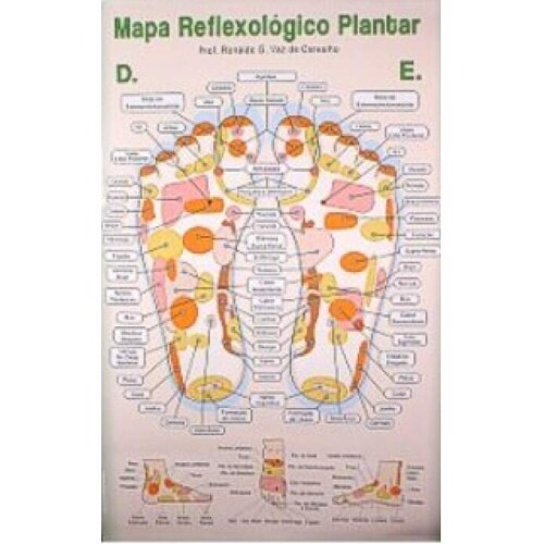 Mapa - Reflexologia Plantar (COM CANALETA) Prof. Ronaldo Guimar�es Vaz de Carvalho