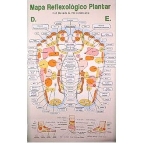 Mapa - Reflexologia Plantar (COM CANALETA) Prof. Ronaldo Guimar�es Vaz de Carvalho 