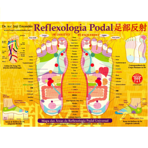 Mapa - Reflexologia Podal - Prof�. Enomoto