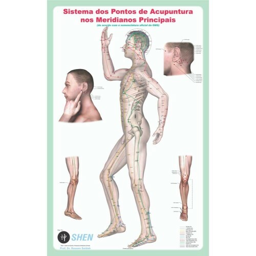 Mapa - Sistema dos Ptos de acupuntura nos Meridianos Principais - SEM CANALETA