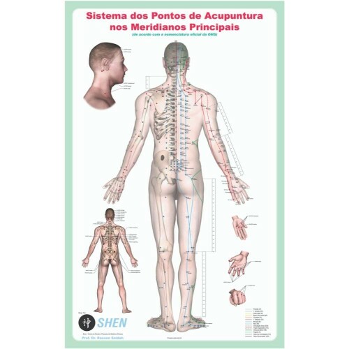 Mapa - Sistema dos Ptos de acupuntura nos Meridianos Principais - SEM CANALETA