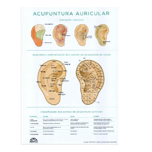 Mapa Acupuntura Auricular Chinesa - Neves