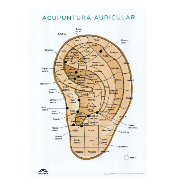 Mapa Acupuntura Auricular Chinesa - Neves 
