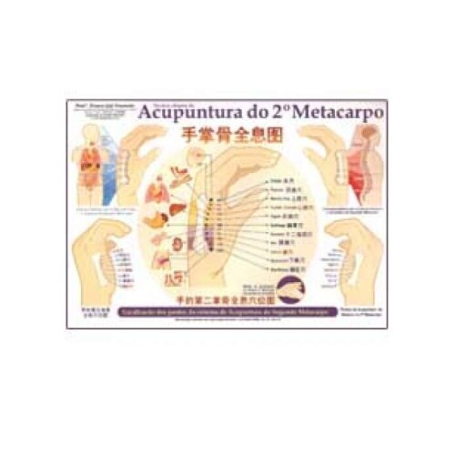 Mapa Acupuntura do 2� e 5� Metacarpo