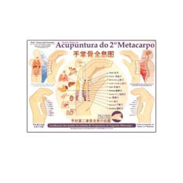 Mapa Acupuntura do 2� e 5� Metacarpo