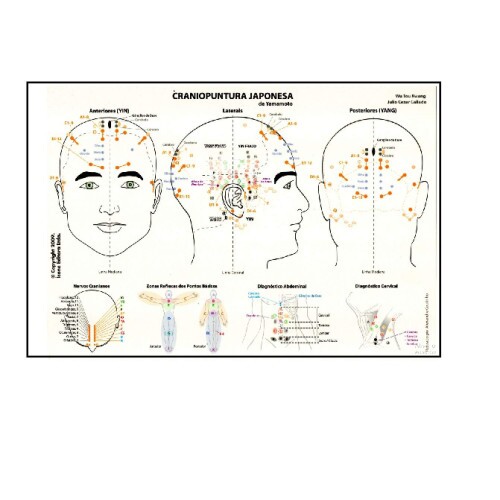 Mapa de Craniopuntura Chinesa e Japonesa - Dr. Wu Tou Kwang