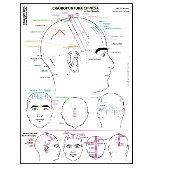 Mapa de Craniopuntura Chinesa e Japonesa - Dr. Wu Tou Kwang