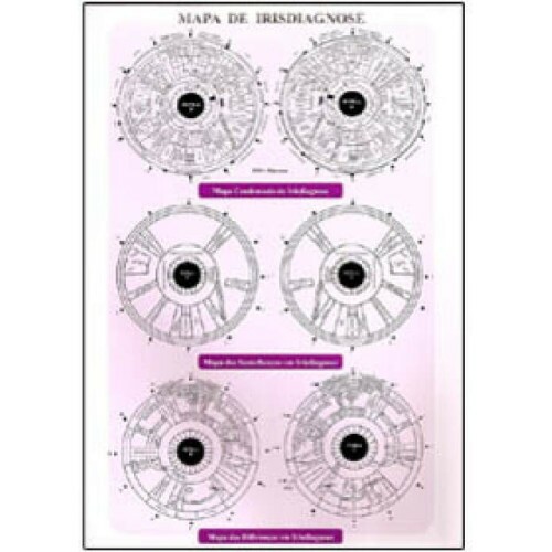 Mapa Irisdiagnose