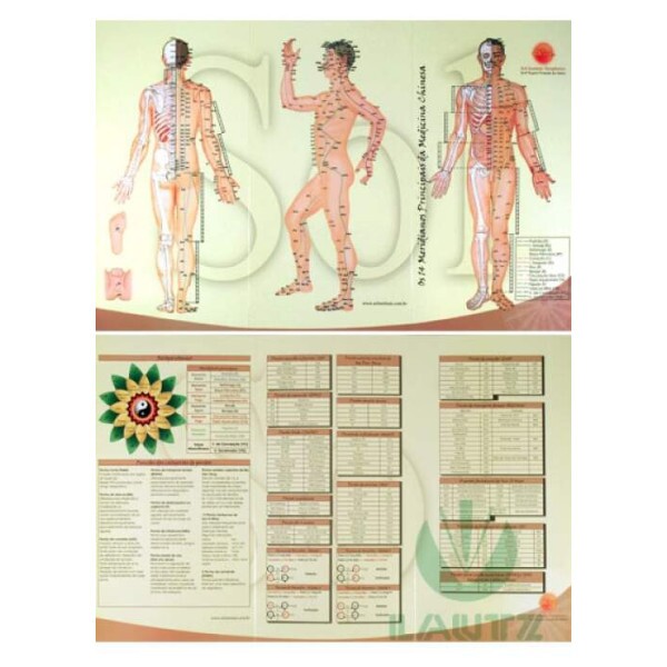 Mapa Os 14 Meridianos Principais da Medicina Chinesa