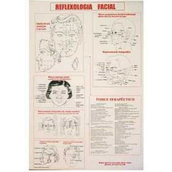 Mapa Reflexologia Facial 