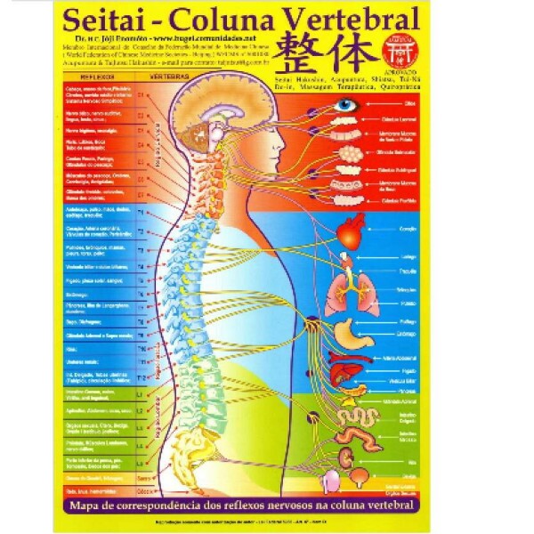 Mapa Seitai - Coluna Vertebral