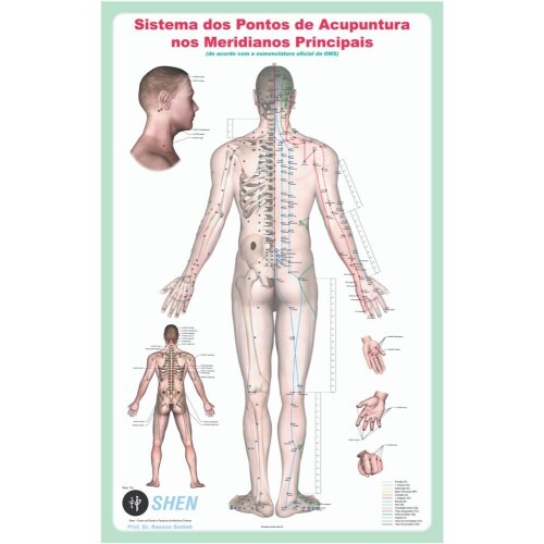Mapa Sistema dos Ptos de acupuntura nos Meridianos Principais (COM CANALETA para PENDURAR)