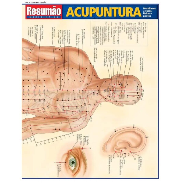 Resum�o Acupuntura-Meridianos e Vasos, Linhas e Pontos